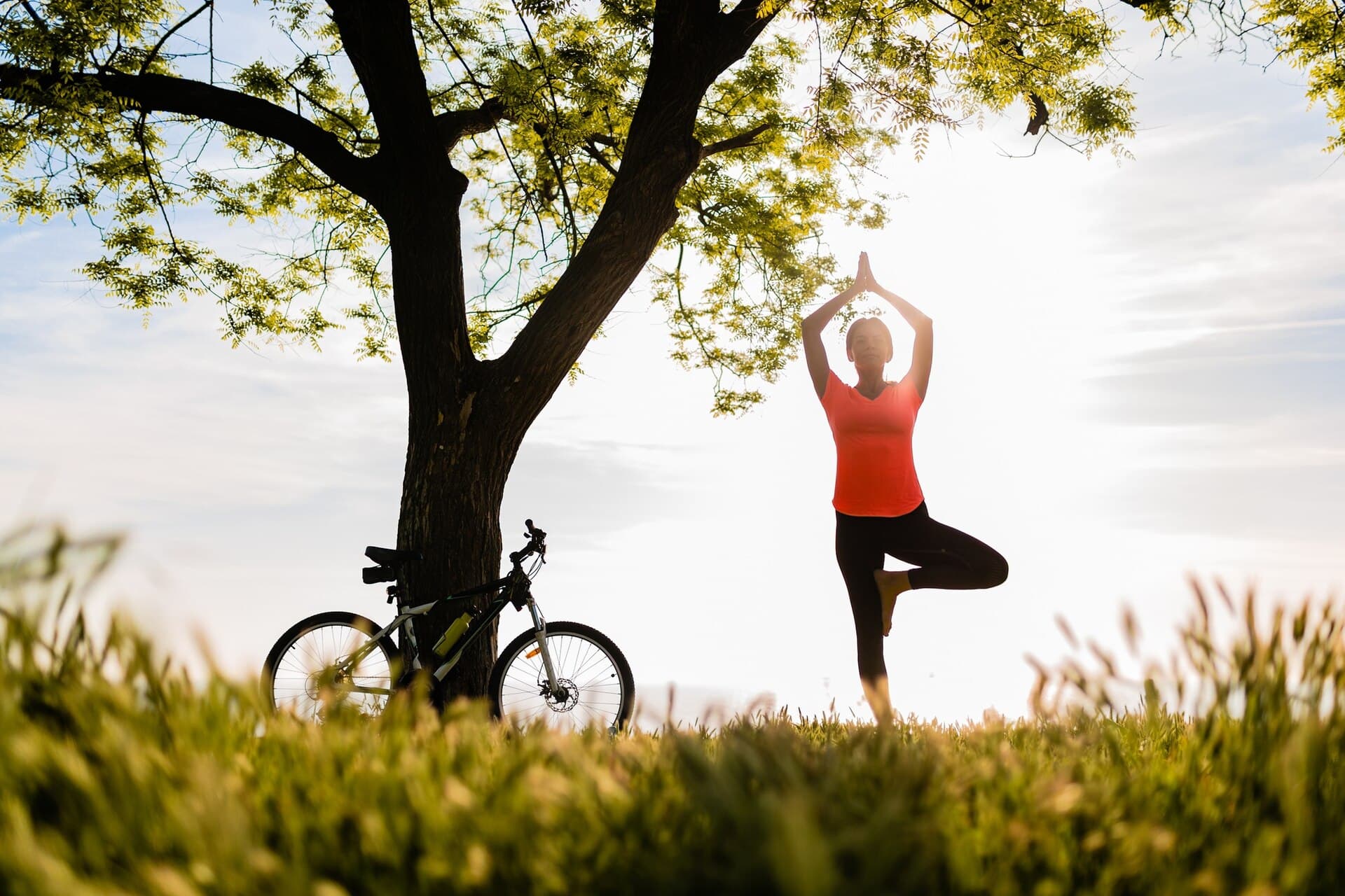 slim-beautiful-woman-silhouette-doing-sports-morning-park-doing-yoga_285396-4331(1)