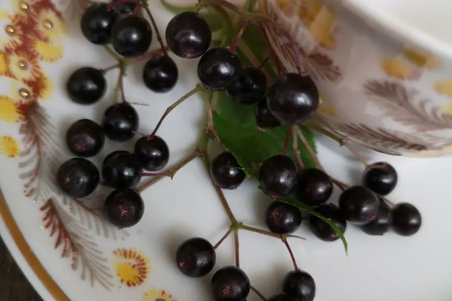 Amazing health benefits of elderberries and their syrup