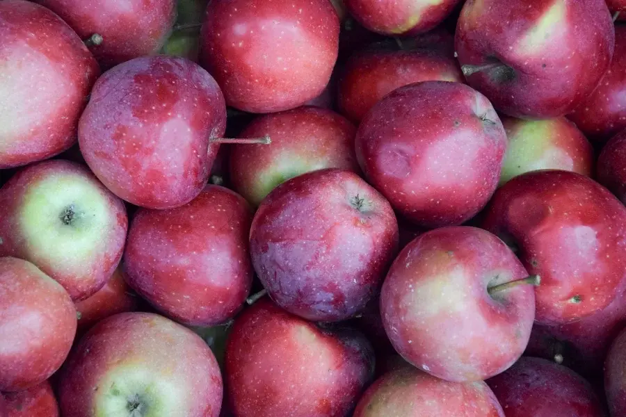 Empire Apples