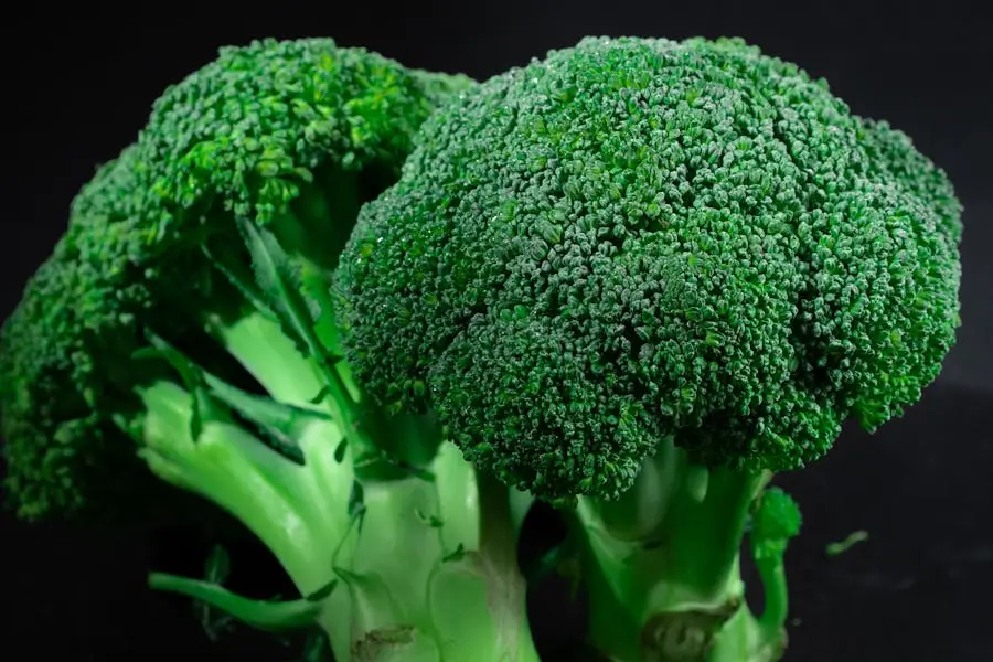 Health Benefits of Eating Broccoli