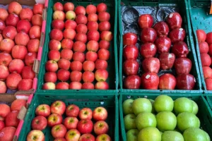 Types of Apples Available