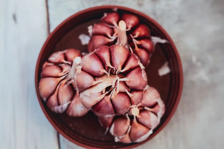 Health Benefits of Garlic