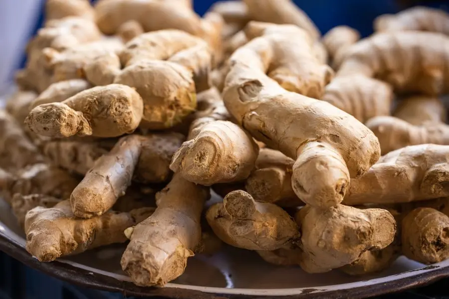 Ginger, An Ayurvedic Immunity Booster