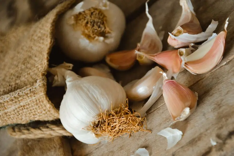 Health Benefits of Garlic