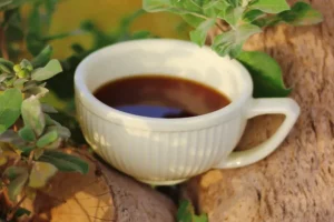 Health Benefits of Tulsi & How It Helps in Improving the Immune System