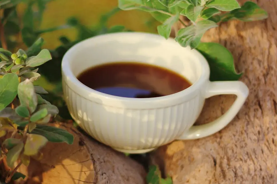 Health Benefits of Tulsi & How It Helps in Improving the Immune System