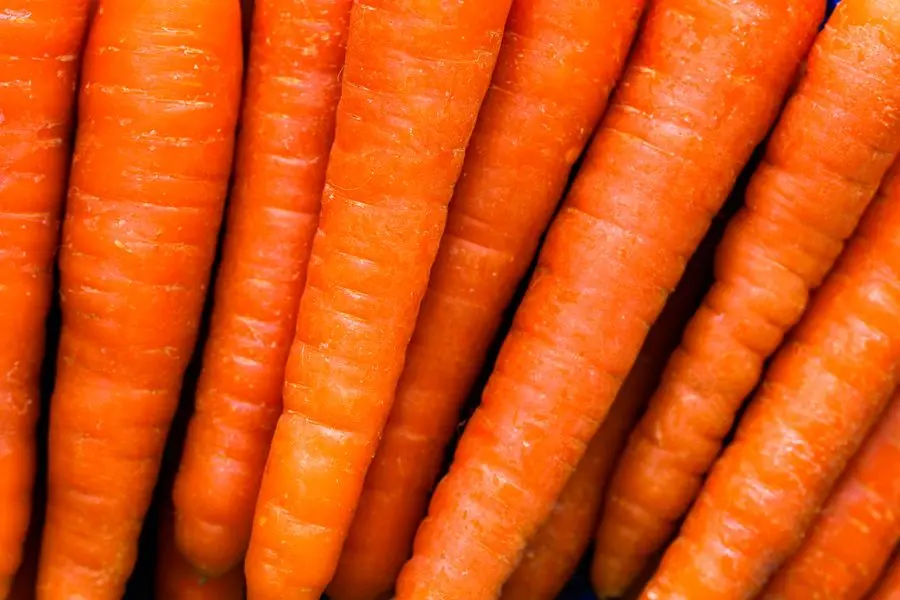 Nutritional Facts of Carrots