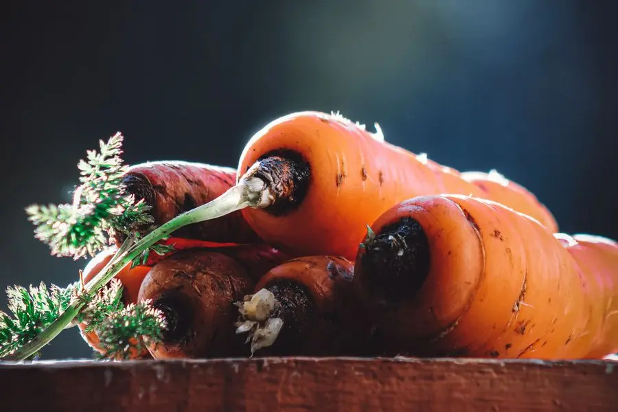 Top Health Benefits of Eating Carrots and Their Nutritional Value