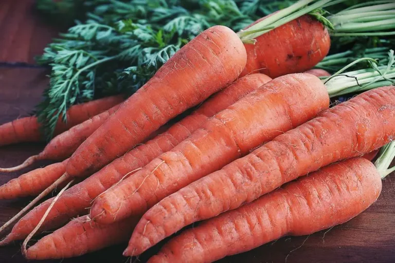 Vegetable is Carrot