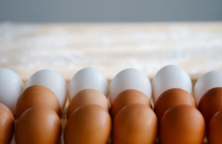 Nutritional Value of Eggs
